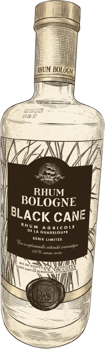 Black Cane