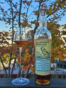 Tasting photo